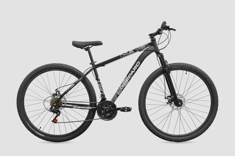 Ghepard X1.0 R29 2026